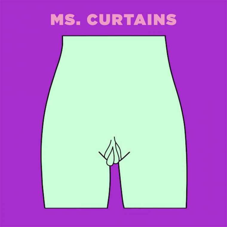 Ms-Curtains-vagina-illustration.jpg