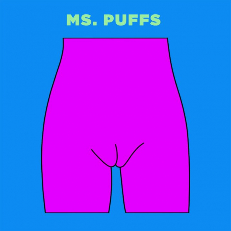 Ms-Puffs-vagina-illustration.jpg
